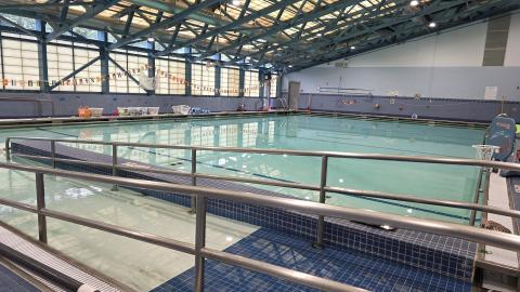 Adaptive Therapy Pool