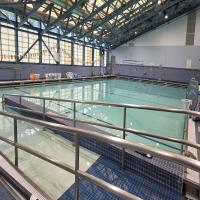 Adaptive Therapy Pool